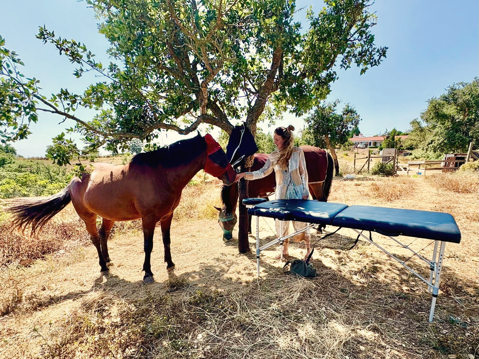 Philine with two horses beside a treatment table in the shade